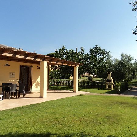 Agriturismo Dallolivo Bolgheri Exterior foto