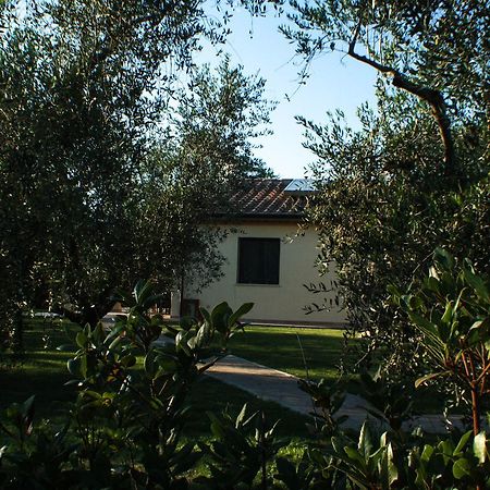 Agriturismo Dallolivo Bolgheri Exterior foto