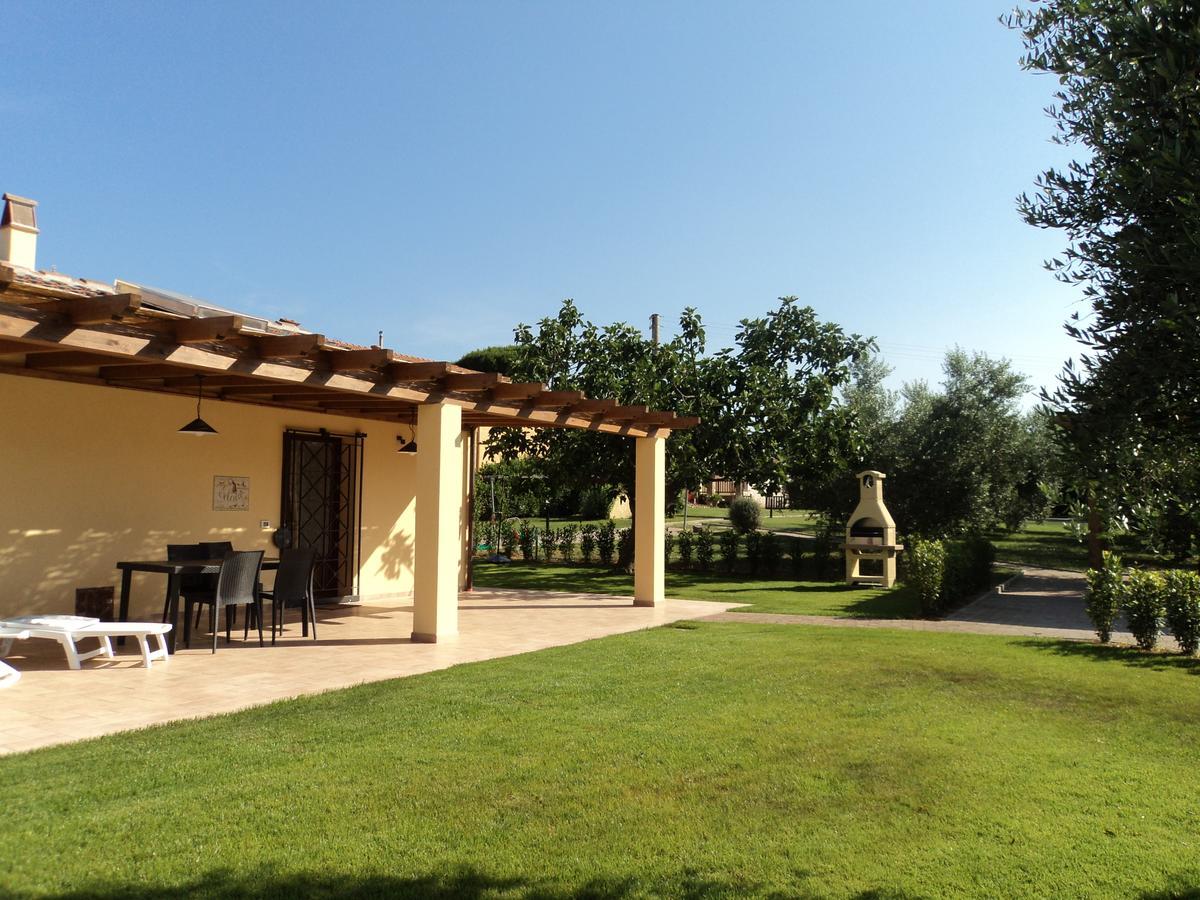Agriturismo Dallolivo Bolgheri Exterior foto