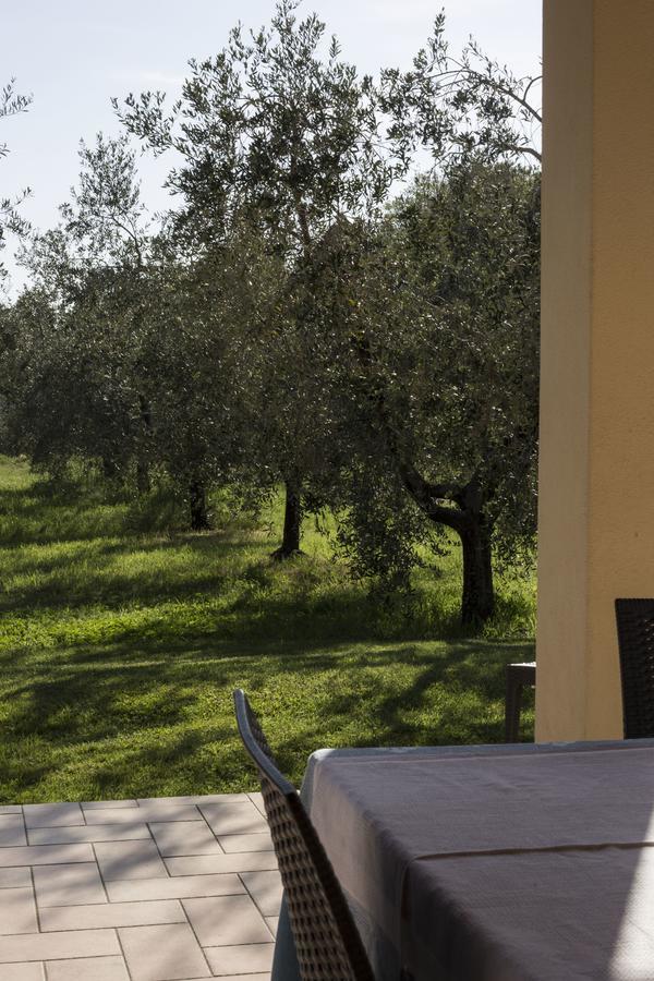 Agriturismo Dallolivo Bolgheri Exterior foto