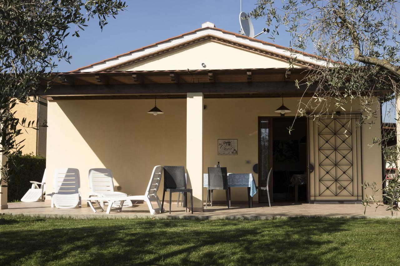 Agriturismo Dallolivo Bolgheri Exterior foto