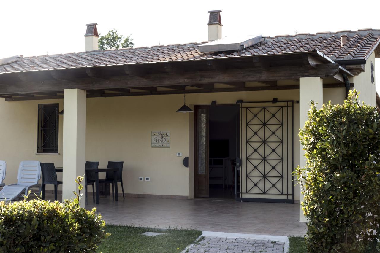 Agriturismo Dallolivo Bolgheri Exterior foto